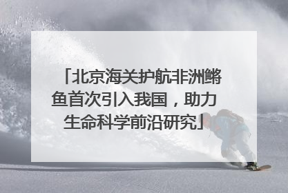 北京海关护航非洲鳉鱼首次引入我国，助力生命科学前沿研究