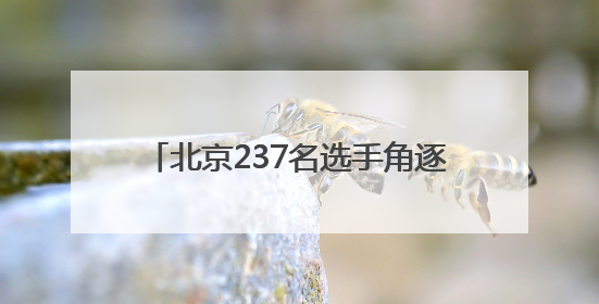北京237名选手角逐文物行业职业技能竞赛