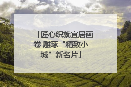 匠心织就宜居画卷 雕琢“精致小城”新名片