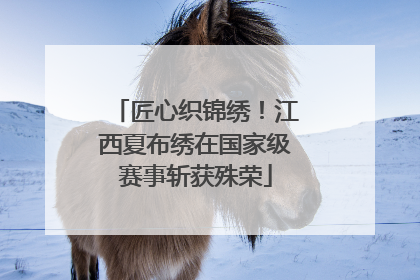 匠心织锦绣！江西夏布绣在国家级赛事斩获殊荣