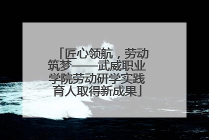 匠心领航，劳动筑梦——武威职业学院劳动研学实践育人取得新成果