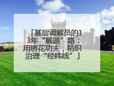 基层调解员的13年“解题”路：用绣花功夫，精织治理“经纬线”