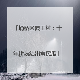 埇桥区夏王村：十年耕耘结出富民瓜