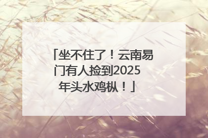 坐不住了！云南易门有人捡到2025年头水鸡枞！