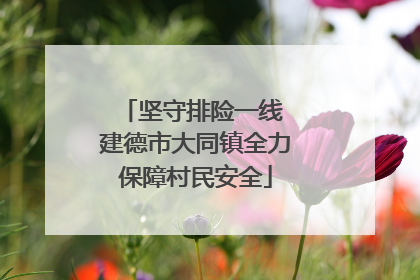 坚守排险一线 建德市大同镇全力保障村民安全