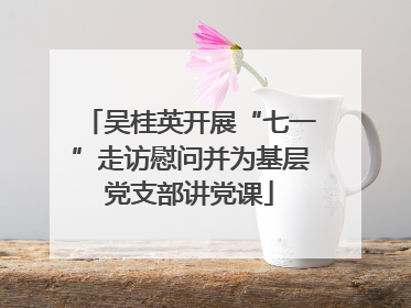 吴桂英开展“七一”走访慰问并为基层党支部讲党课