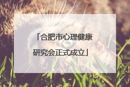 合肥市心理健康研究会正式成立