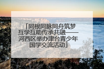 同根同脉同舟筑梦 互学互助传承共融——河西区举办津台青少年国学交流活动
