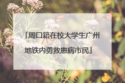 周口籍在校大学生广州地铁内勇救患病市民