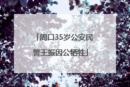 周口35岁公安民警王振因公牺牲