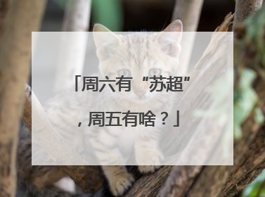 周六有“苏超”，周五有啥？