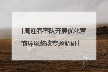 周迎春率队开展优化营商环境整改专题调研