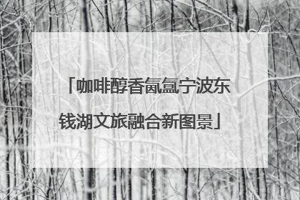 咖啡醇香氤氲宁波东钱湖文旅融合新图景