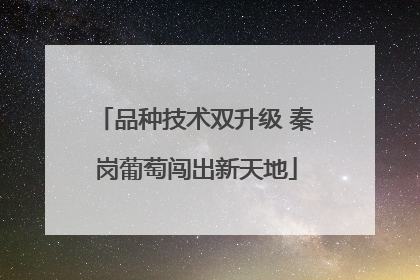 品种技术双升级 秦岗葡萄闯出新天地