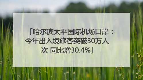 哈尔滨太平国际机场口岸：今年出入境旅客突破30万人次 同比增30.4%