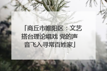 商丘市睢阳区：文艺搭台理论唱戏 党的声音飞入寻常百姓家