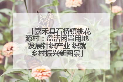 嘉禾县石桥镇桃花源村：盘活闲置用地发展针织产业 织就乡村振兴新图景