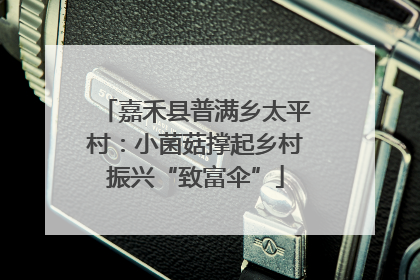 嘉禾县普满乡太平村：小菌菇撑起乡村振兴“致富伞”