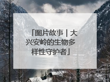 图片故事｜大兴安岭的生物多样性守护者