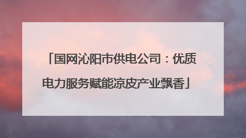 国网沁阳市供电公司：优质电力服务赋能凉皮产业飘香