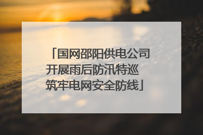 国网邵阳供电公司开展雨后防汛特巡 筑牢电网安全防线