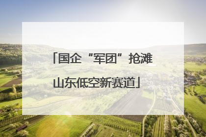 国企“军团”抢滩山东低空新赛道