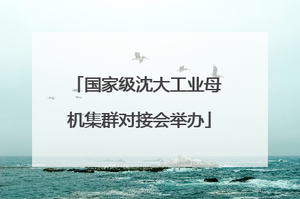 国家级沈大工业母机集群对接会举办