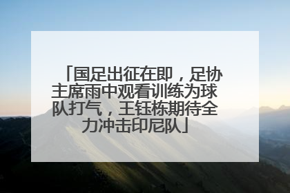 国足出征在即，足协主席雨中观看训练为球队打气，王钰栋期待全力冲击印尼队