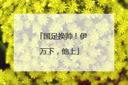 国足换帅！伊万下，他上