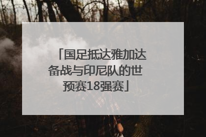 国足抵达雅加达备战与印尼队的世预赛18强赛
