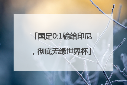 国足0:1输给印尼，彻底无缘世界杯