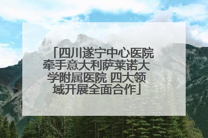 四川遂宁中心医院牵手意大利萨莱诺大学附属医院 四大领域开展全面合作
