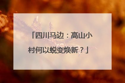 四川马边：高山小村何以蜕变焕新？