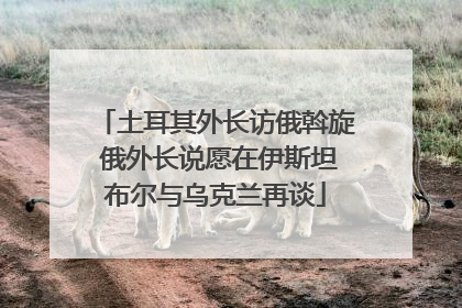 土耳其外长访俄斡旋 俄外长说愿在伊斯坦布尔与乌克兰再谈
