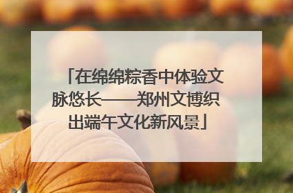 在绵绵粽香中体验文脉悠长——郑州文博织出端午文化新风景