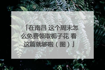 在南昌 这个周末怎么免费领取栀子花 看这篇就够啦（图）