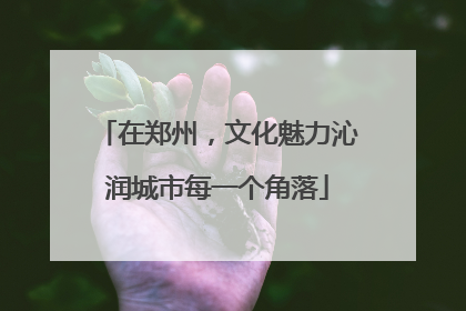 在郑州，文化魅力沁润城市每一个角落