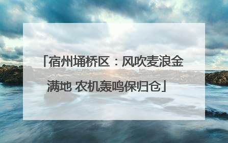 宿州埇桥区：风吹麦浪金满地 农机轰鸣保归仓