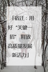 宿迁：用好“关键一招” 释放高质量发展新活力