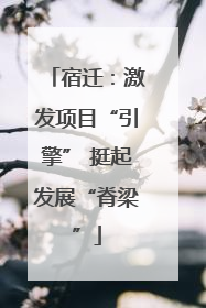 宿迁：激发项目“引擎” 挺起发展“脊梁”