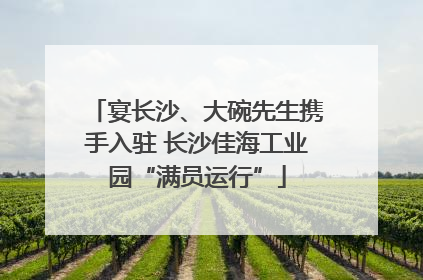 宴长沙、大碗先生携手入驻 长沙佳海工业园“满员运行”