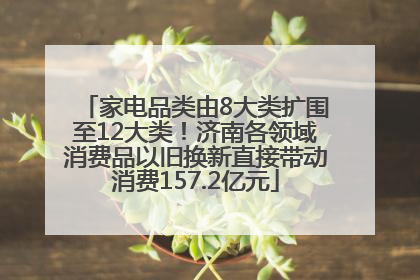 家电品类由8大类扩围至12大类！济南各领域消费品以旧换新直接带动消费157.2亿元