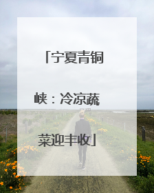 宁夏青铜峡：冷凉蔬菜迎丰收