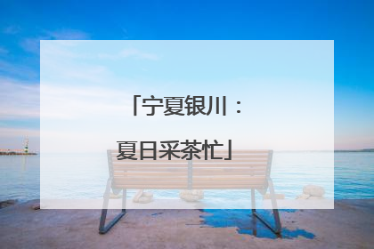 宁夏银川：夏日采茶忙