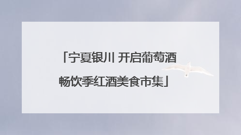 宁夏银川 开启葡萄酒畅饮季红酒美食市集