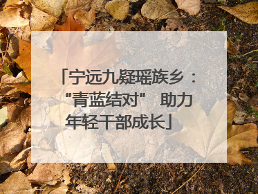宁远九疑瑶族乡：“青蓝结对” 助力年轻干部成长