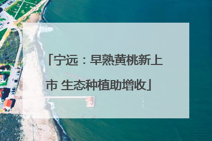 宁远：早熟黄桃新上市 生态种植助增收