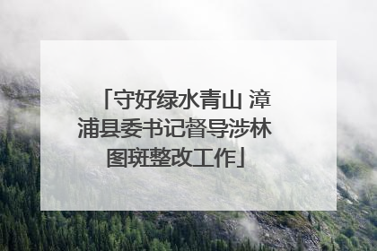 守好绿水青山 漳浦县委书记督导涉林图斑整改工作