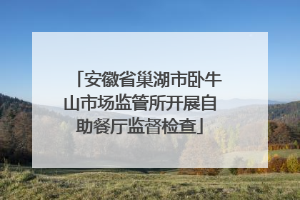 安徽省巢湖市卧牛山市场监管所开展自助餐厅监督检查