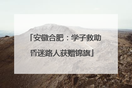 安徽合肥：学子救助昏迷路人获赠锦旗